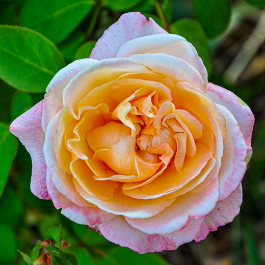 Momenti indimenticabili