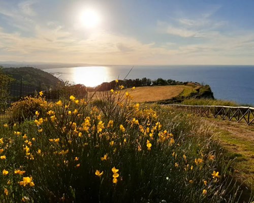 Parco Naturale Monte San Bartolo