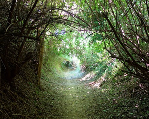 Parco Naturale Monte San Bartolo