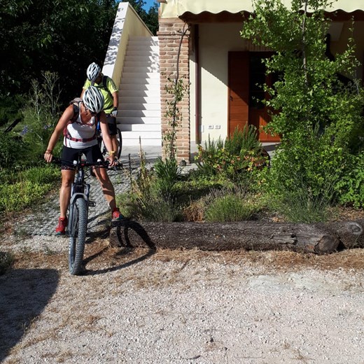 Escursioni in bicicletta